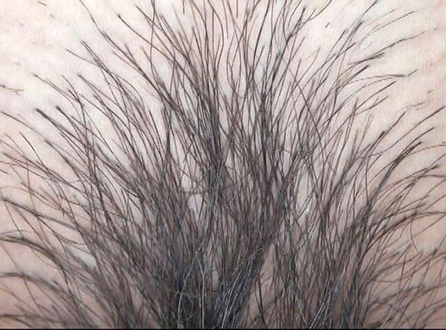 サンプル画像 15