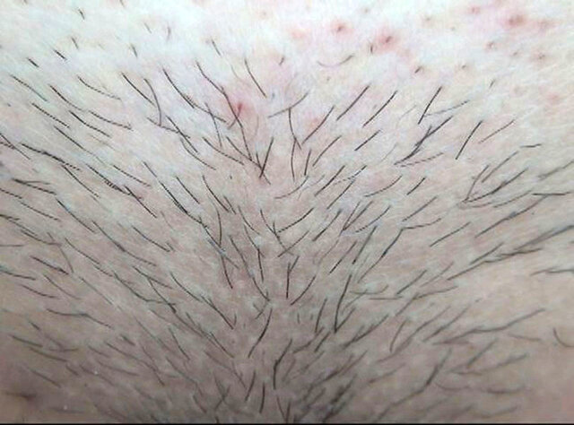 サンプル画像 17