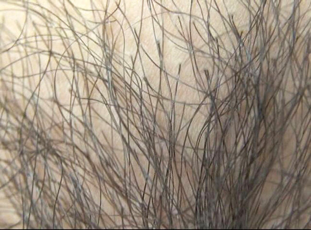 サンプル画像 21