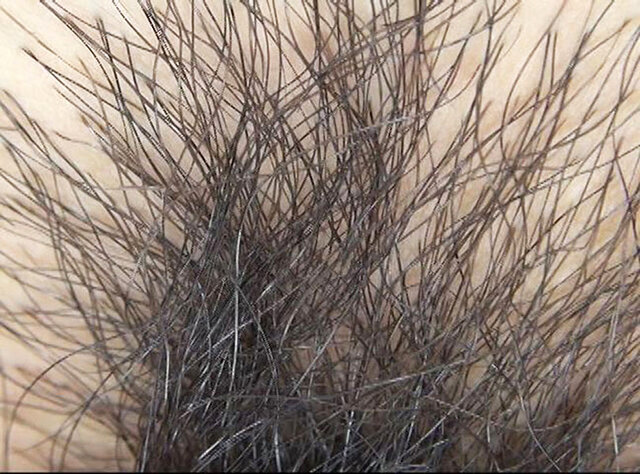 サンプル画像 5