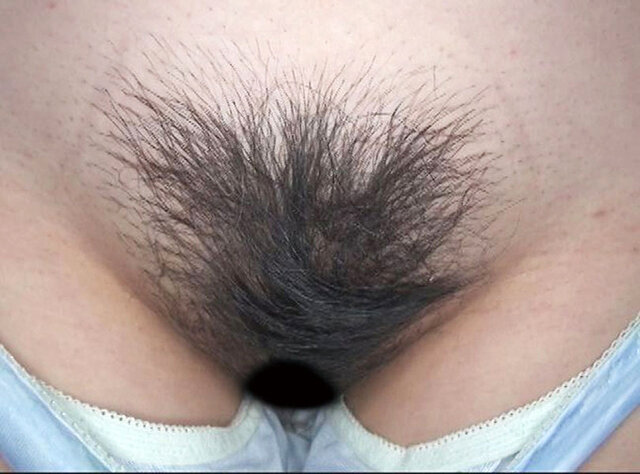 サンプル画像 6