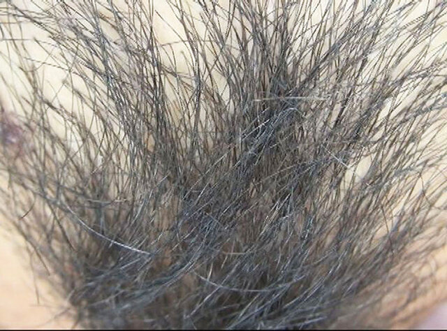 サンプル画像 9