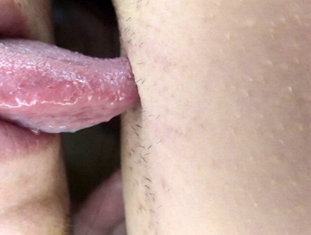 サンプル画像 15