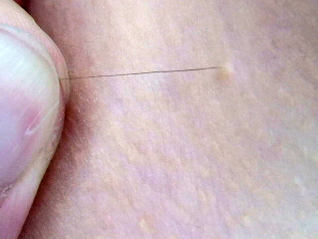 サンプル画像 16