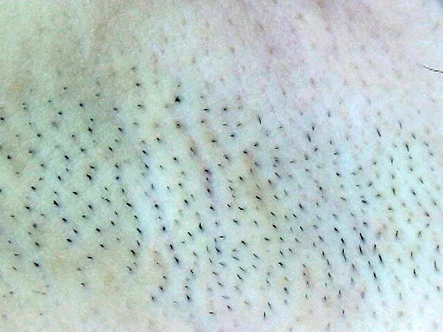 サンプル画像 3