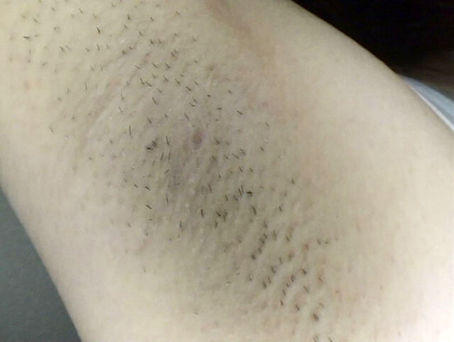 サンプル画像 4