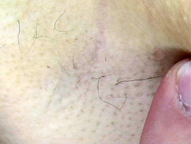 サンプル画像 6