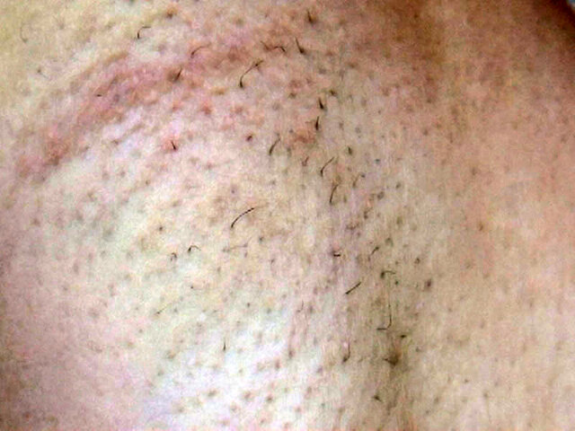 サンプル画像 7