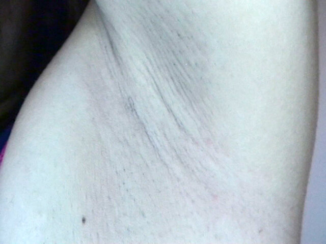 サンプル画像 8