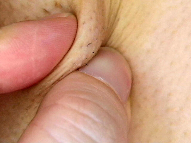 サンプル画像 9