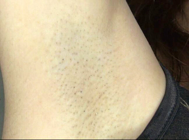 サンプル画像 12