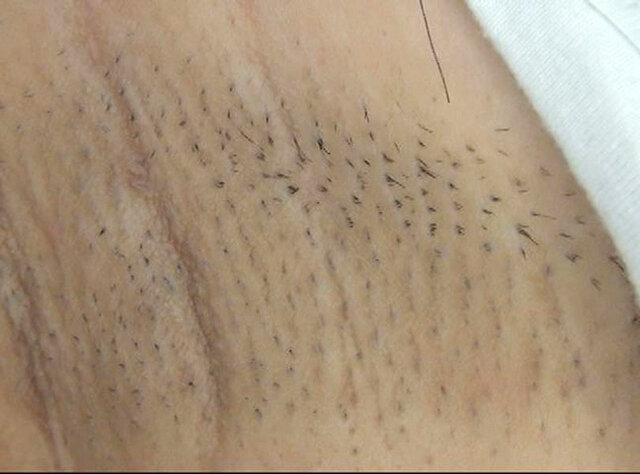 サンプル画像 13