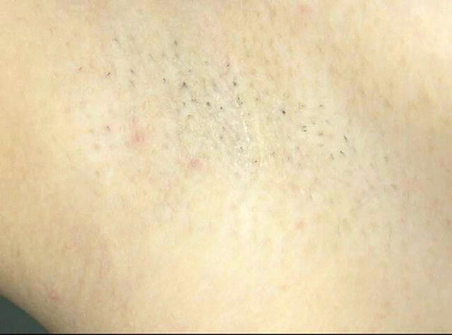 サンプル画像 14