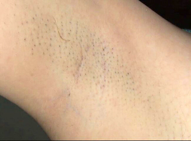 サンプル画像 16