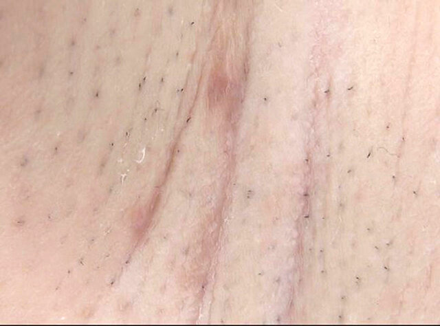 サンプル画像 17