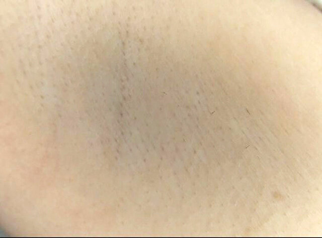 サンプル画像 18