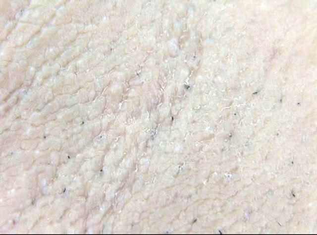 サンプル画像 19