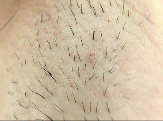 サンプル画像 3