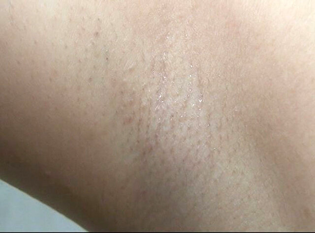 サンプル画像 4