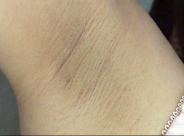 サンプル画像 6