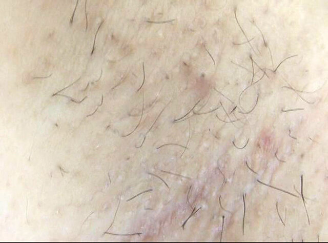 サンプル画像 7