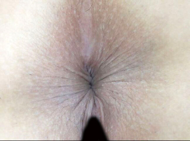 サンプル画像 15