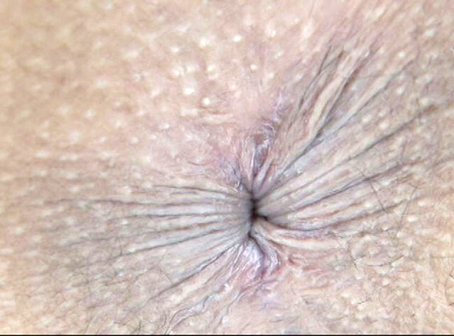 サンプル画像 3