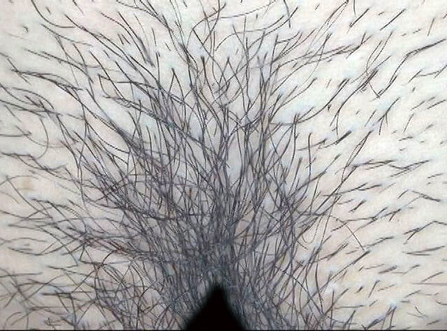 サンプル画像 17