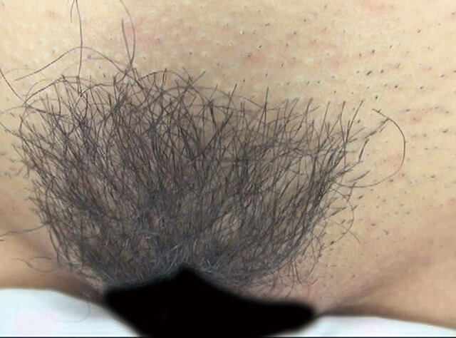 サンプル画像 20