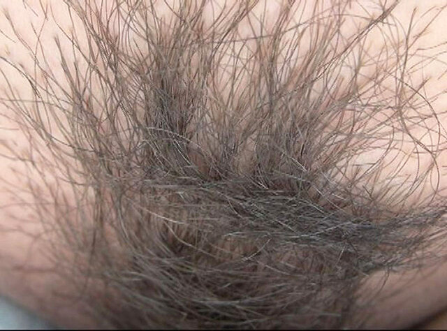 サンプル画像 5