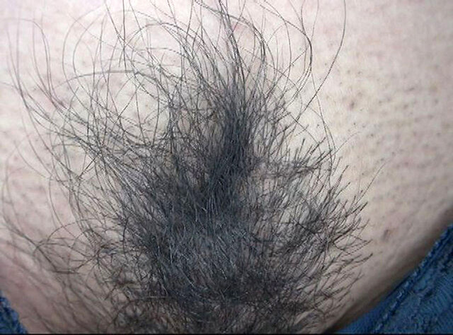 サンプル画像 6