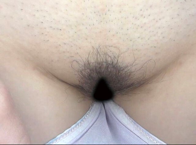 サンプル画像 8