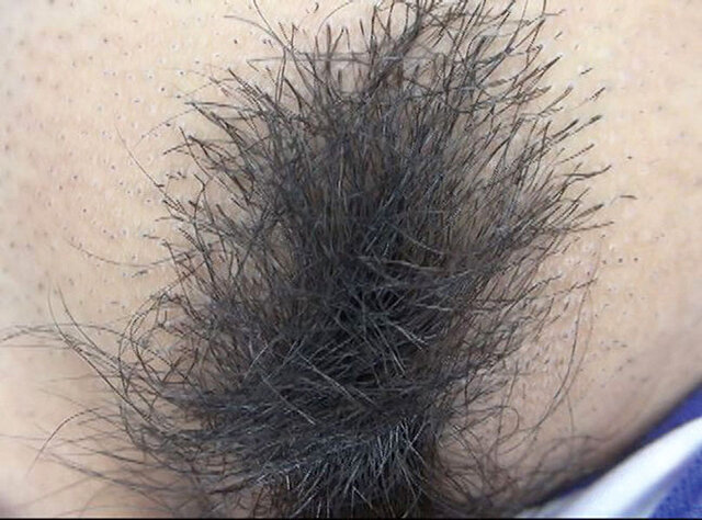 サンプル画像 9