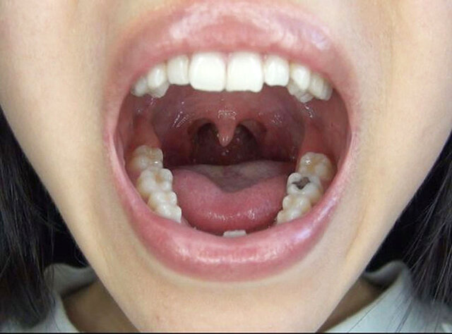 サンプル画像 12