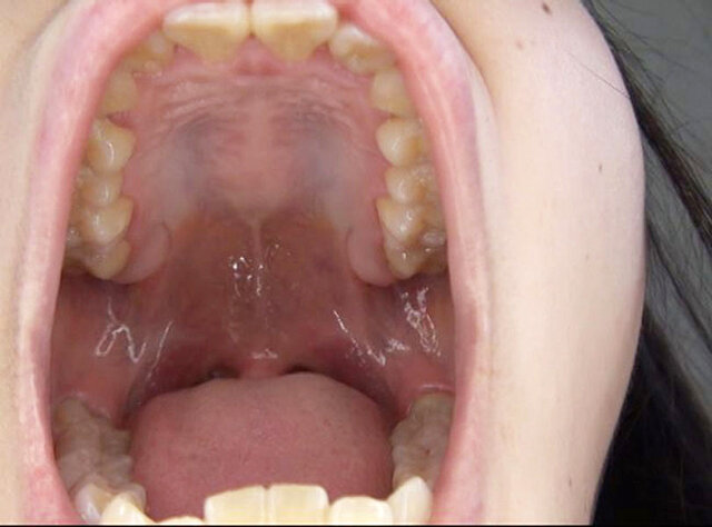 サンプル画像 14