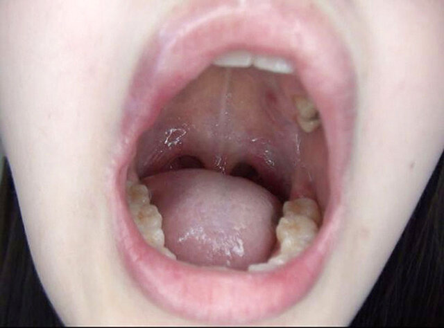 サンプル画像 20