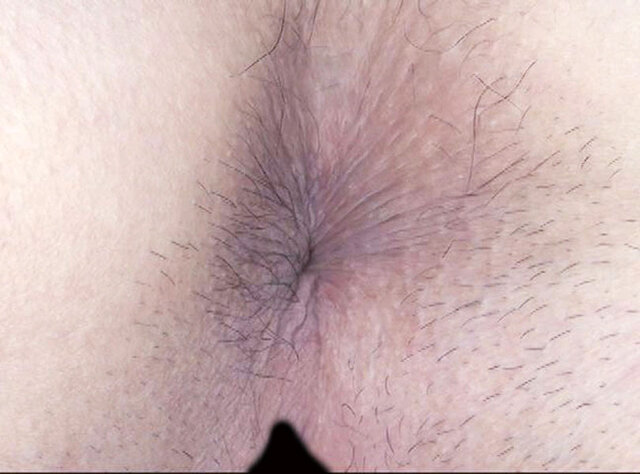 サンプル画像 17