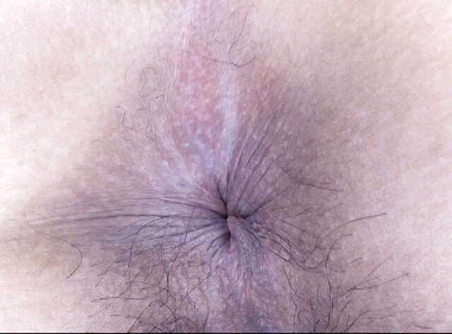 サンプル画像 20