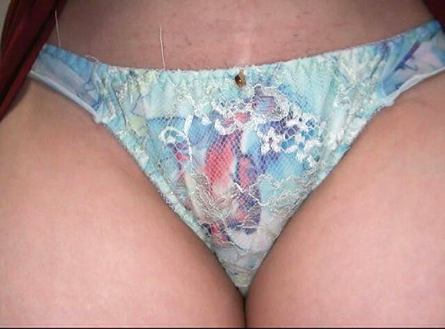 サンプル画像 6