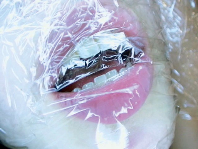 サンプル画像 5