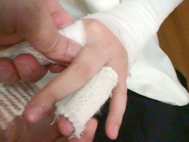 サンプル画像 2