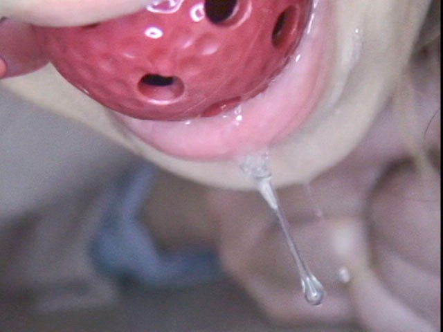 サンプル画像 13