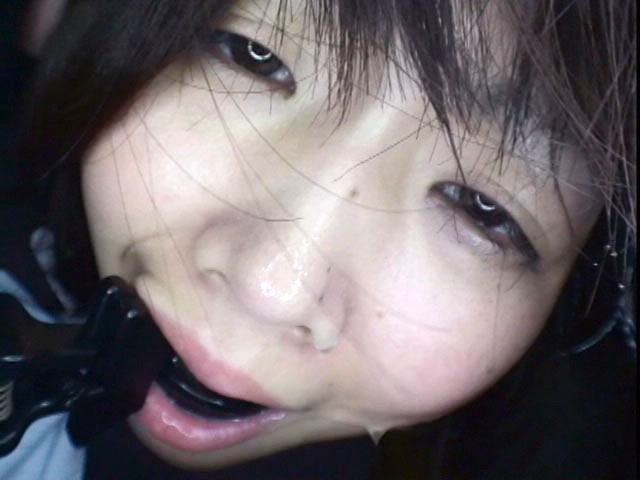 サンプル画像 6