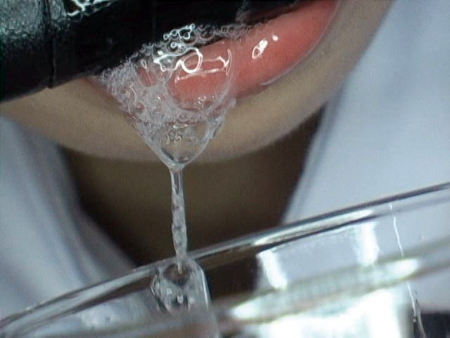 サンプル画像 10