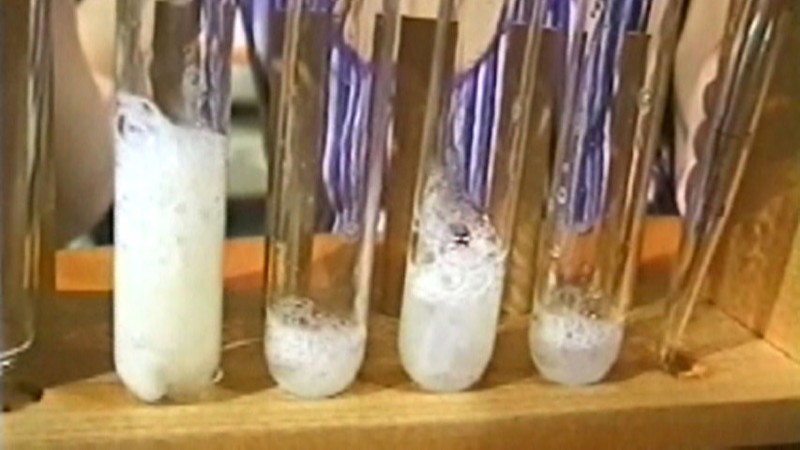 サンプル画像 18