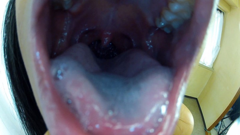 サンプル画像 13