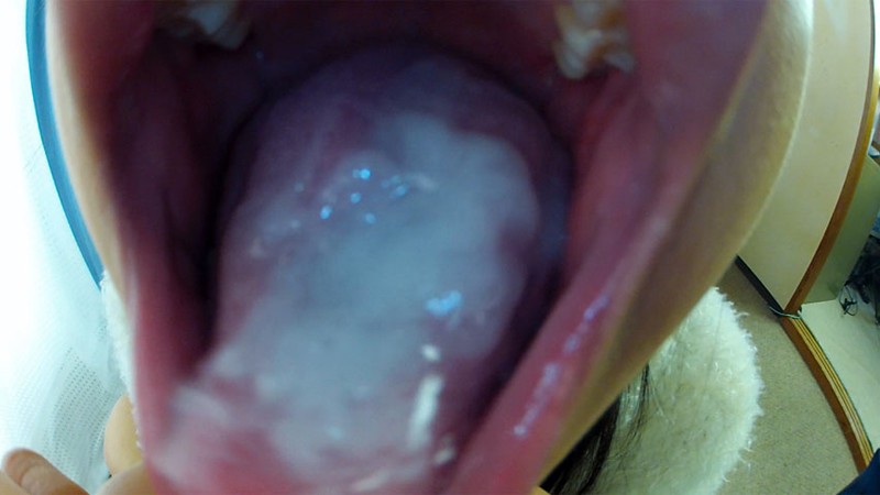 サンプル画像 19