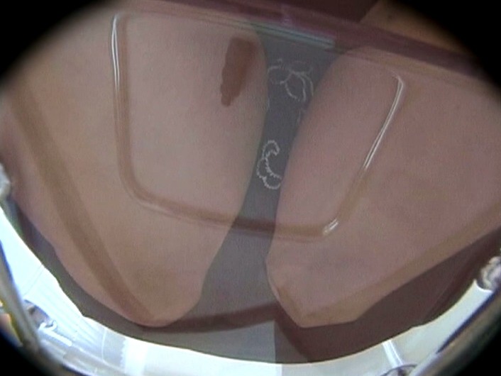 サンプル画像 10