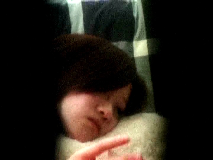 サンプル画像 8