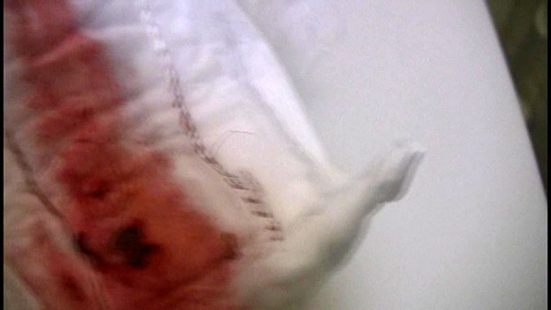 サンプル画像 14